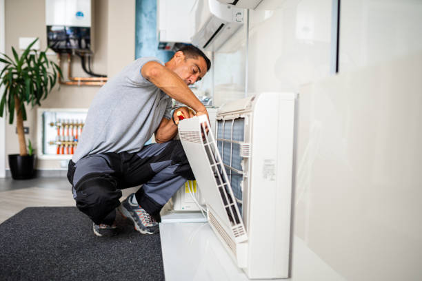 Best Ductwork Cleaning Services  in Novi, MI