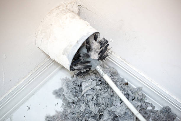 Best Ventilation Cleaning Services  in Novi, MI